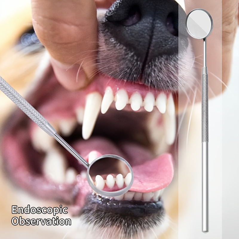 6 pezzi di rimozione del tarta - Teeth Whitening Mouthwash recensione e prezzo