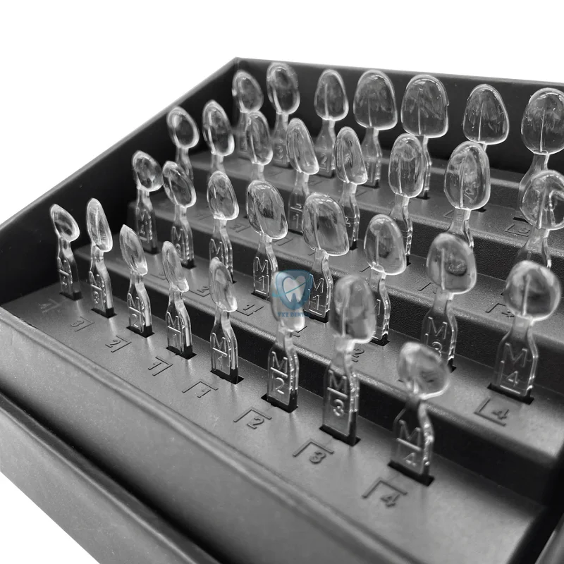 32 pz/set Kit di Stampi per Im - Teeth Whitening Moulds recensione e prezzo